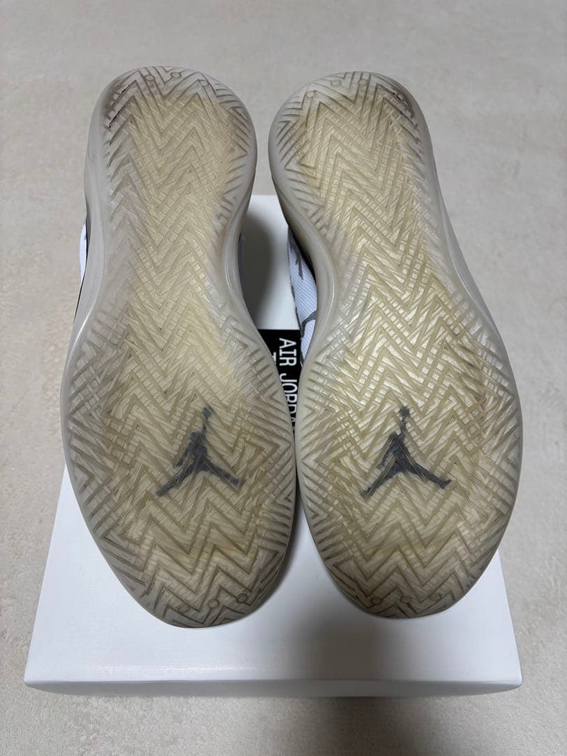 NIKE エアジョーダン 39PF 30cm（箱有）