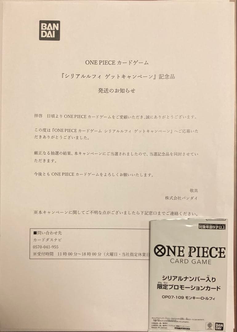 付属品完備【ARS10】シリアルルフィ　シリアルナンバー入り 1000枚 日本