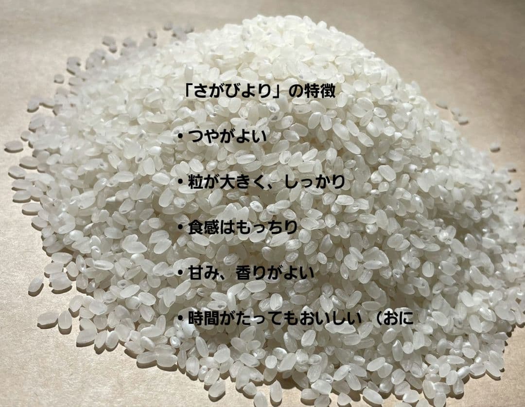 佐賀県産✳さがびより✳10キロ