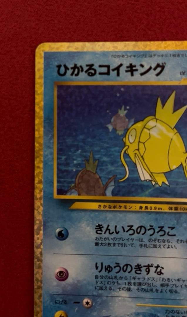 ひかるコイキング25th