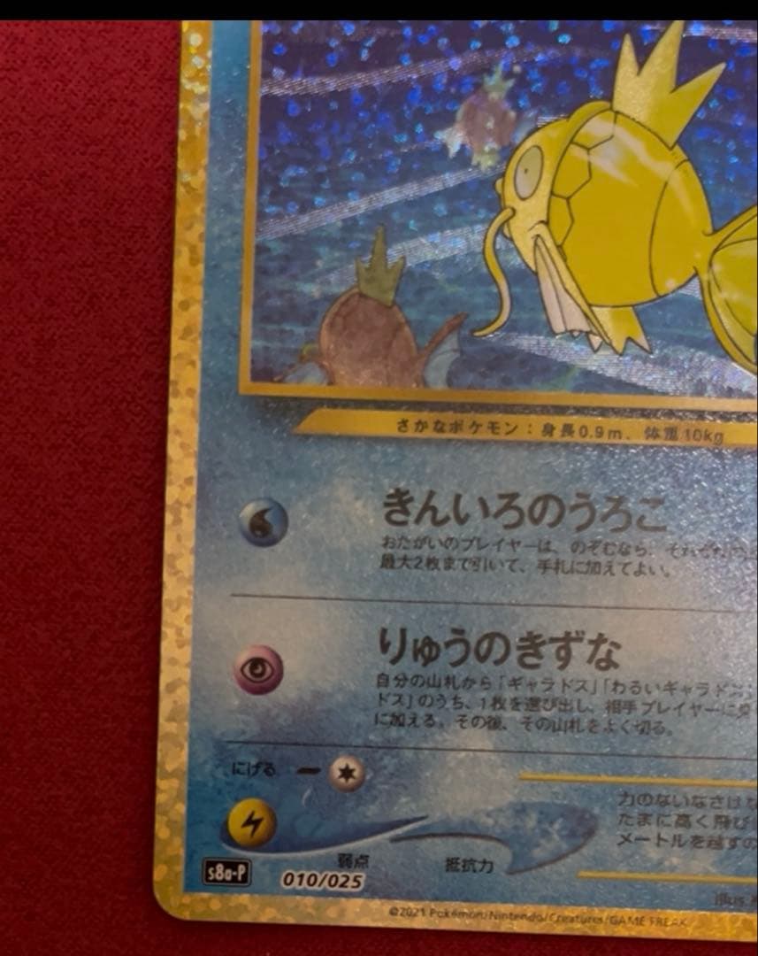 ひかるコイキング25th