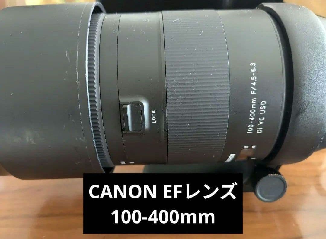 レンズ(ズーム) TAMRON 100-400mm F/4.5-6.3 Di VC USD EF