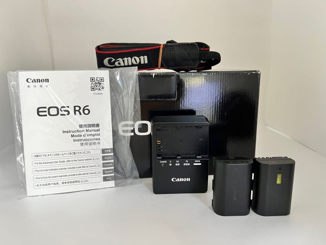 CANON EOS R6 31000以下