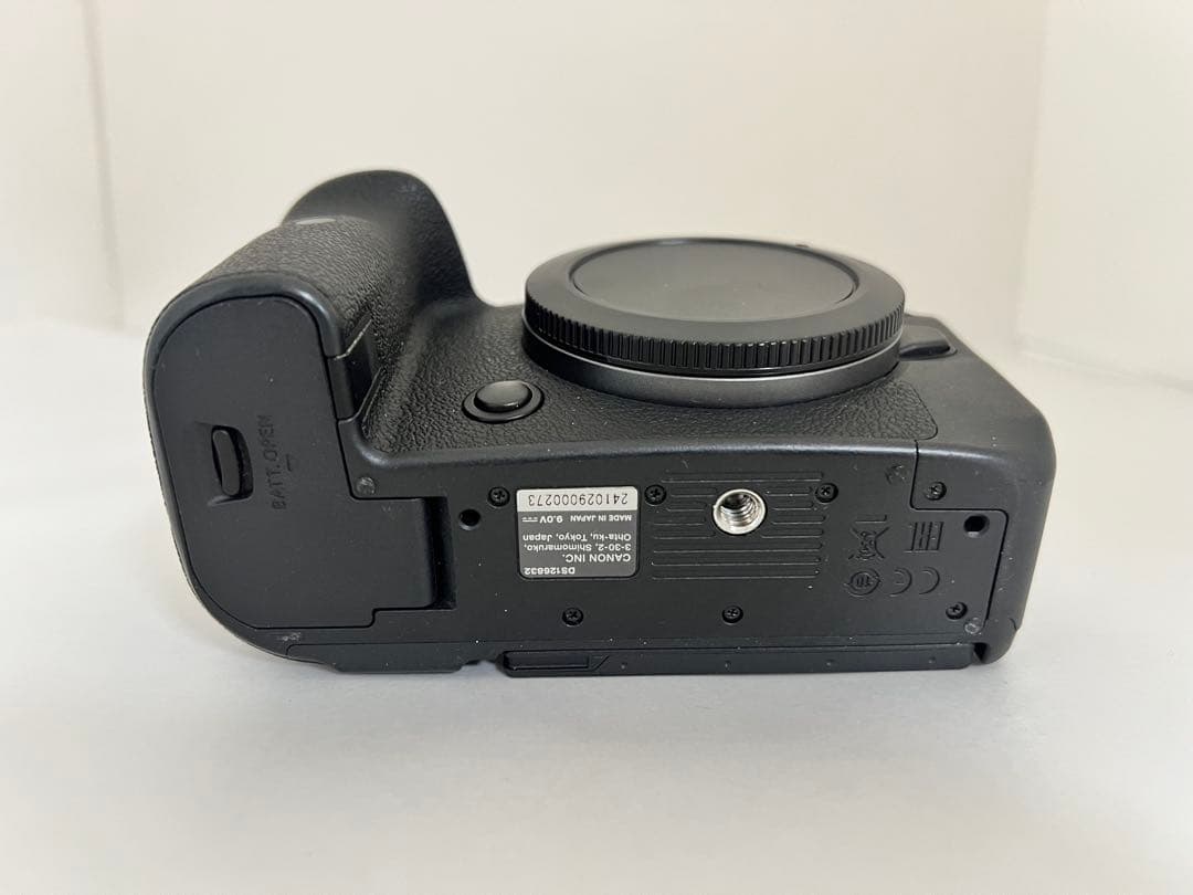 CANON EOS R6 31000以下