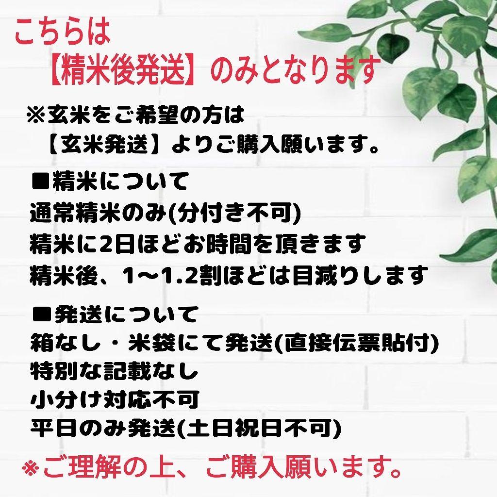令和7年産 茨城県産 コシヒカリ 白米 精米代込み 10Kg 10キロ a