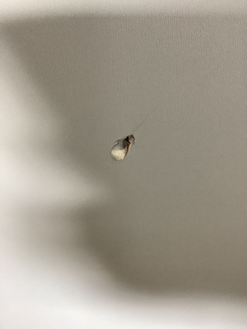 ニトリ キッチンボード キッチンカウンター 食器棚 幅88cm コンセント口有り