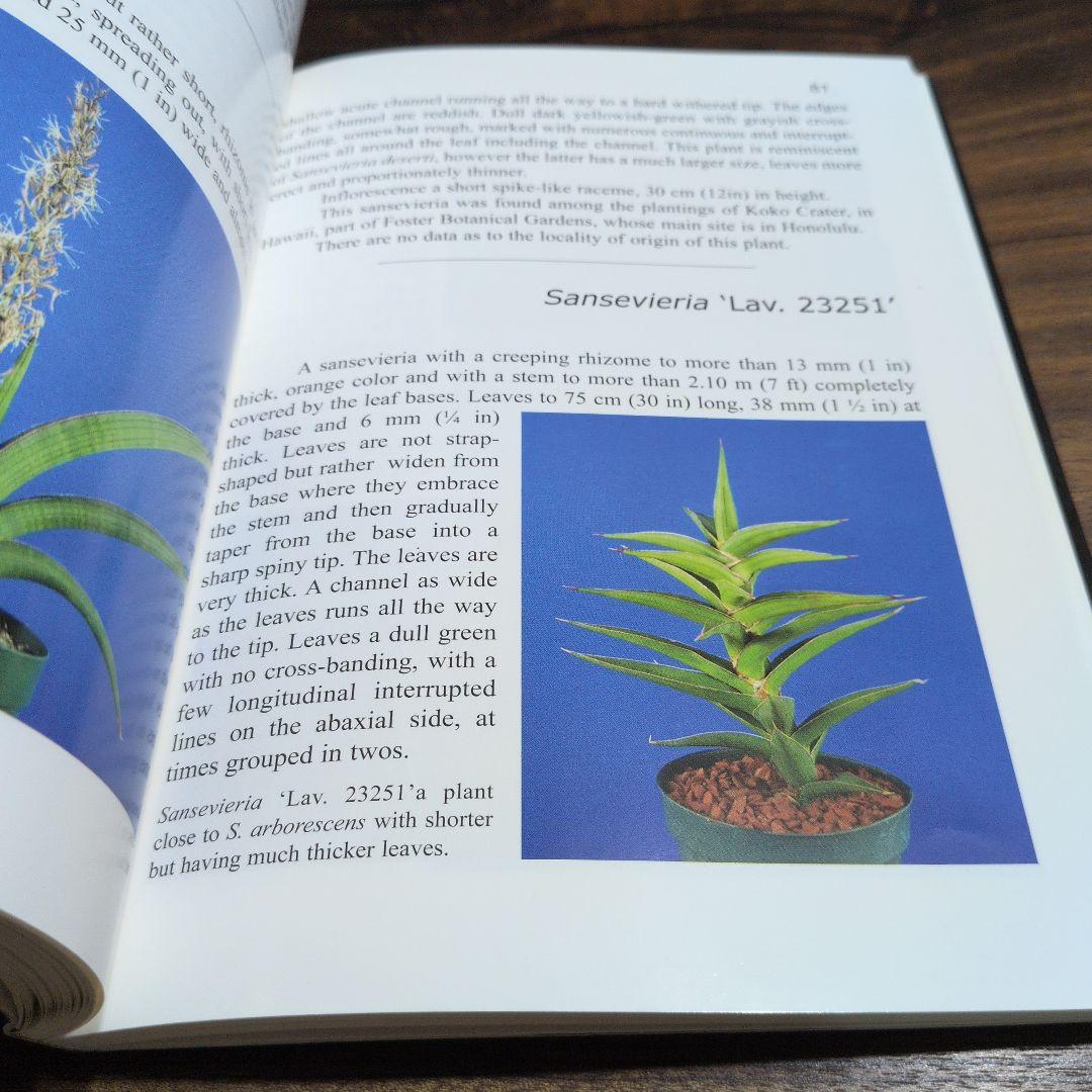 洋書 the splendid sansevieria