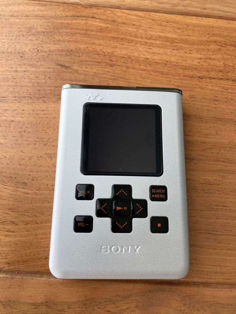 SONYウォークマンNW-HD5（NW-HD5H）ケース イヤホンセット