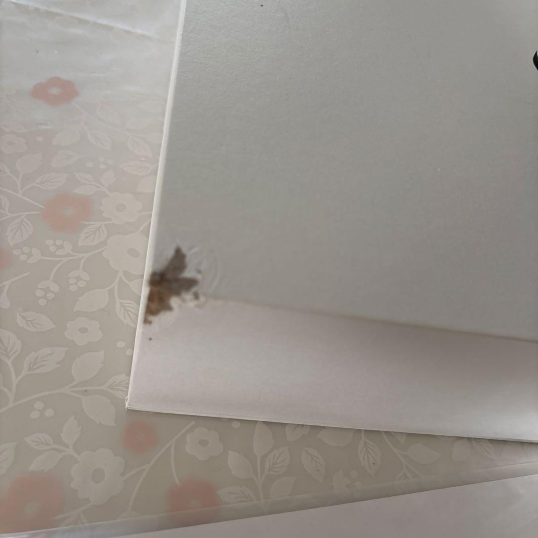 とらさん専用⭐︎BONIQ 2.0