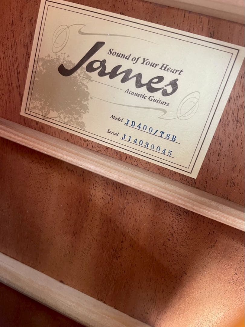 【美品】James アコースティックギター JD400/TSB