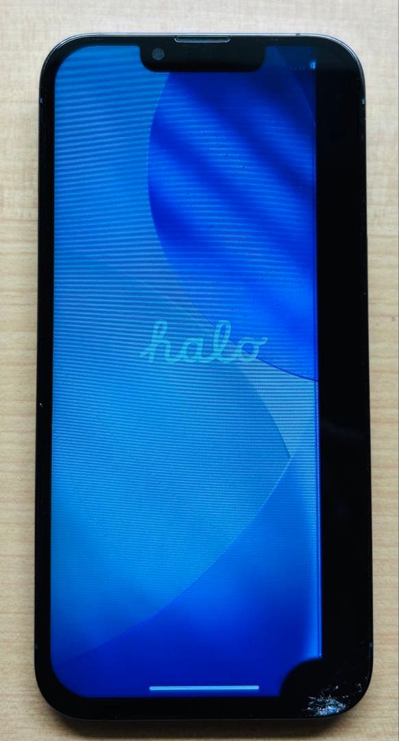 Apple iPhone 13 Pro シエラブルー 本体 ジャンク品