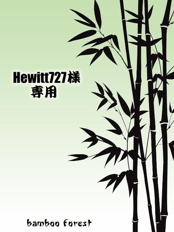 Hewitt727 リクエスト2点まとめ商品