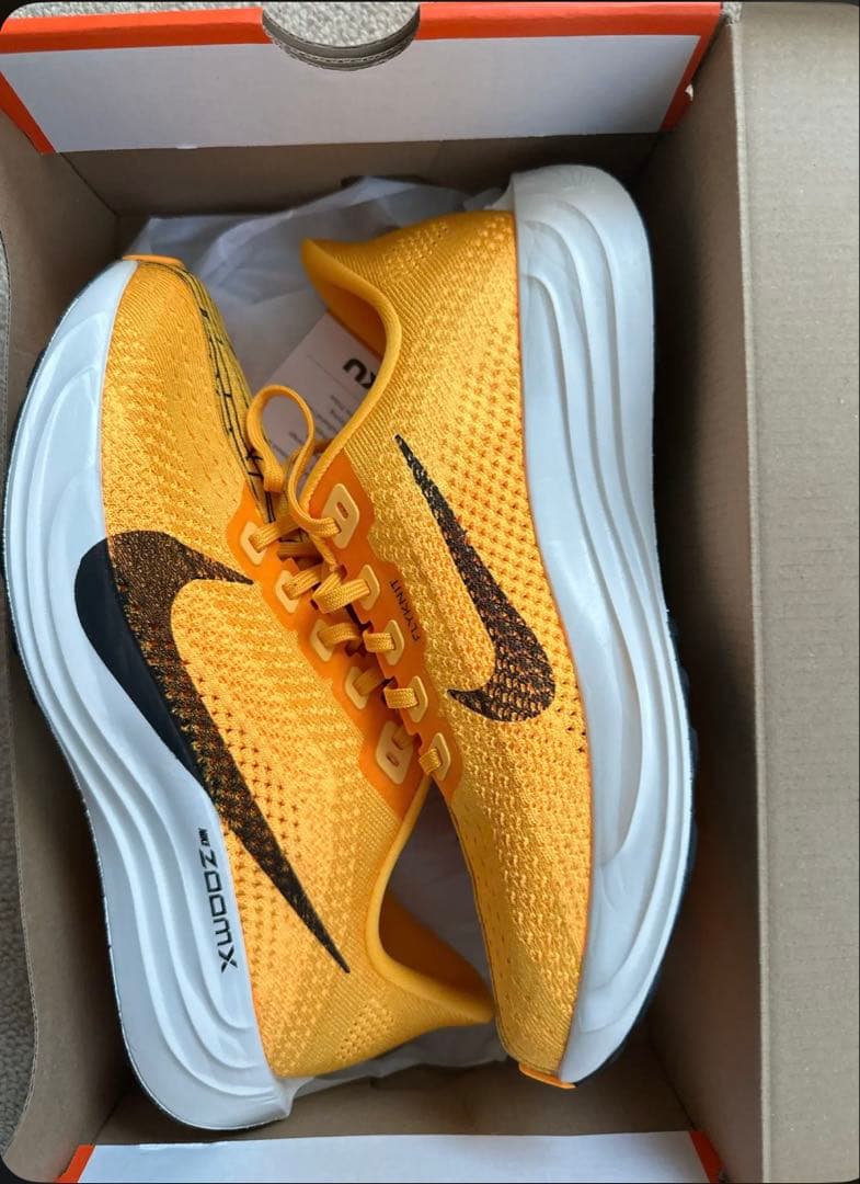 ナイキペガサスプラス　26cm