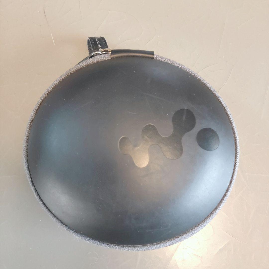 ソニー ヘッドホン一体型ウォークマン Wシリーズ NW-WS623