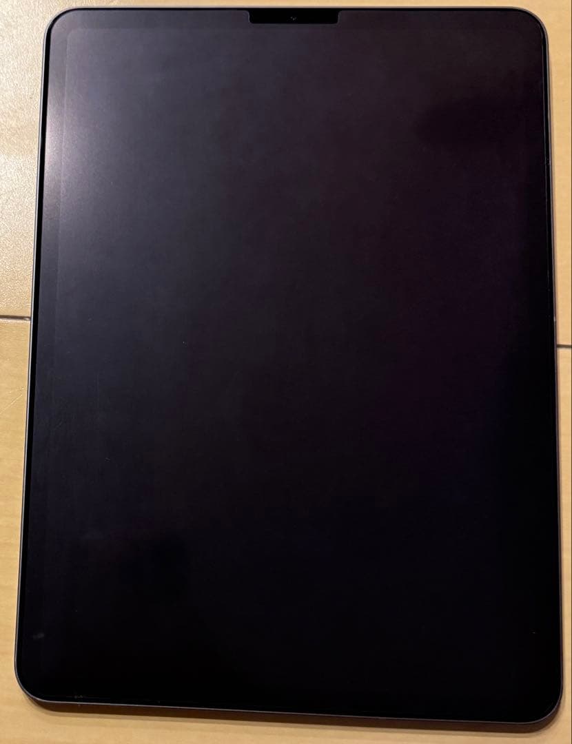 iPad Pro 11 256GB Wi-Fiモデル NTXQ2J/A