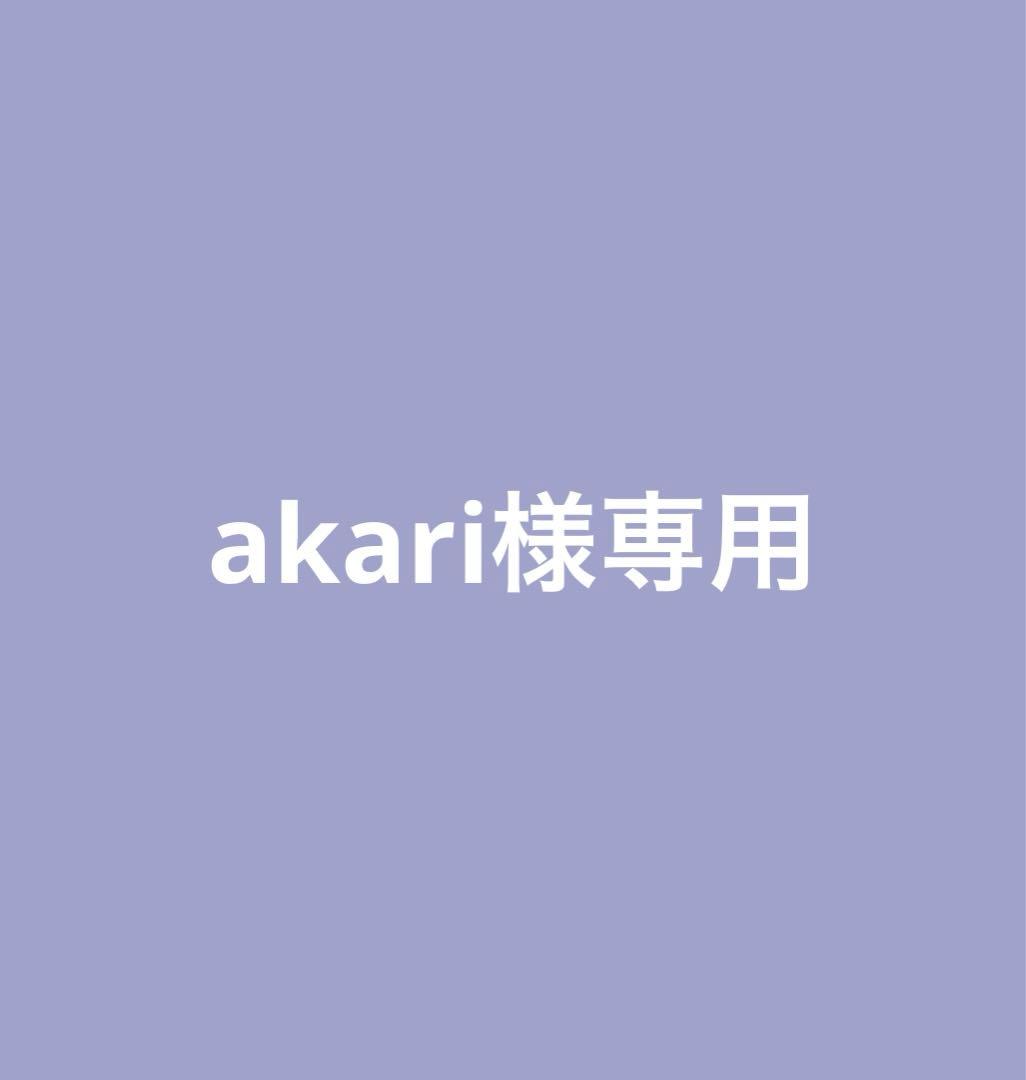 バッグ akari