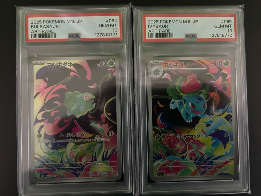 ⭐︎【PSA10】フシギダネ　フジギソウ　AR 連番　メガブレイブ