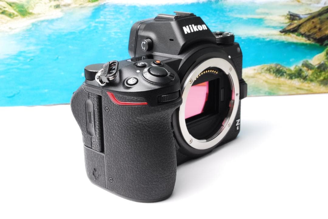 Nikon Z6 ミラーレス一眼カメラ 本体
