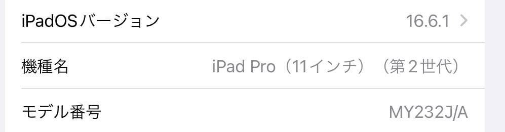 iPad本体 Apple iPad Pro 11