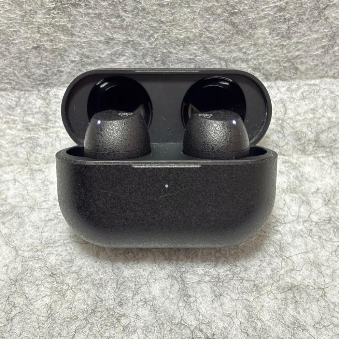 イヤホン Final ZE3000SV