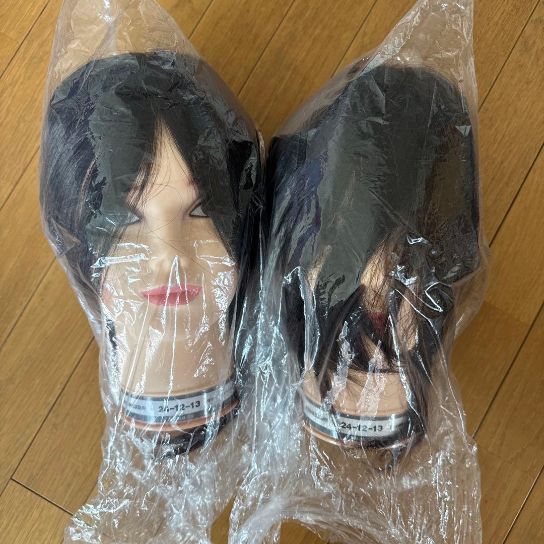 新品国試用カットウィッグ　2個