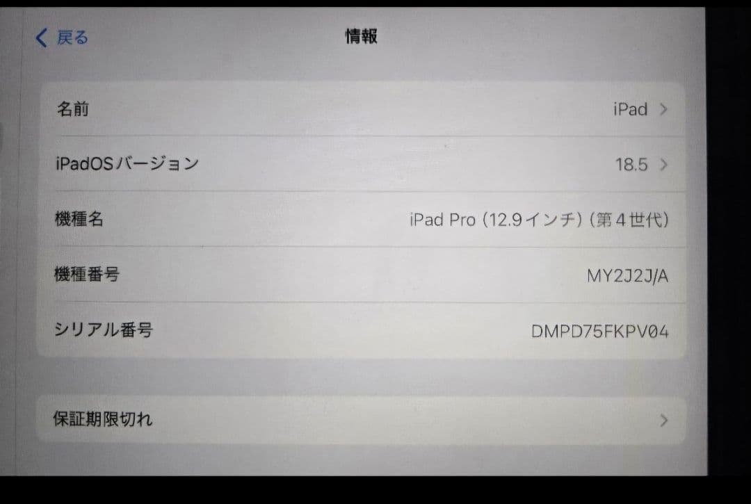 iPad pro 12.9インチ(第4世代)128GB