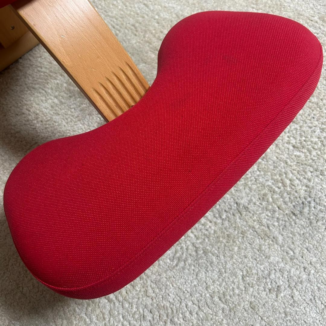 リボ社 サカモトハウス バランスチェア バランスイージー　レッド　姿勢矯正