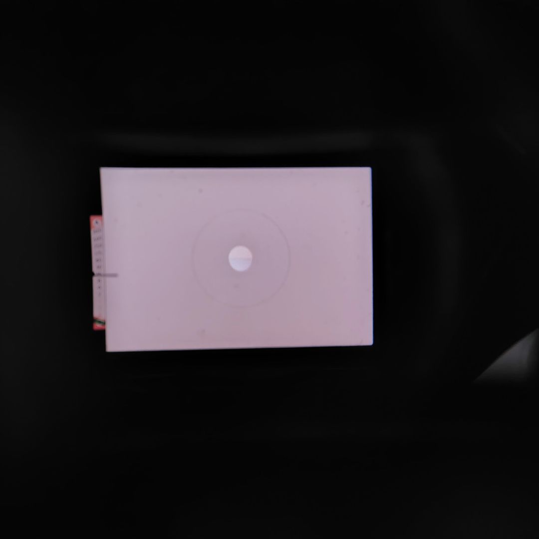 激安価格ニコマートELとNIPPON kogaku28mmf3.5完動貴重品