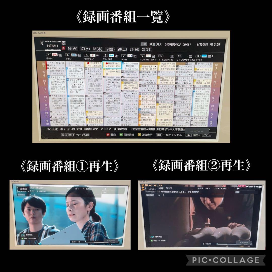 TOSHIBA REGZA DBR-W508 ブルーレイレコーダー 500GB