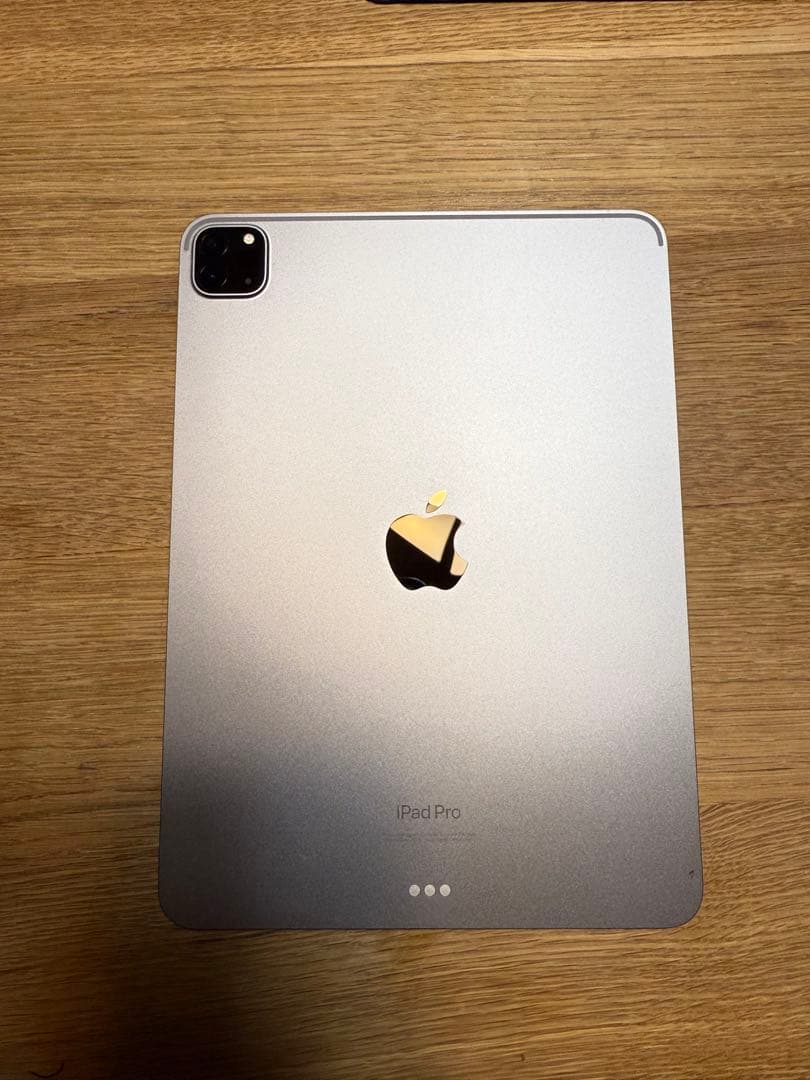 Apple 11インチiPad Pro (第4世代)スペースグレイ本体おまけ付き