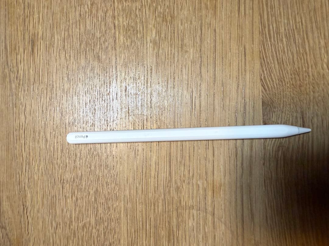 Apple 11インチiPad Pro (第4世代)スペースグレイ本体おまけ付き