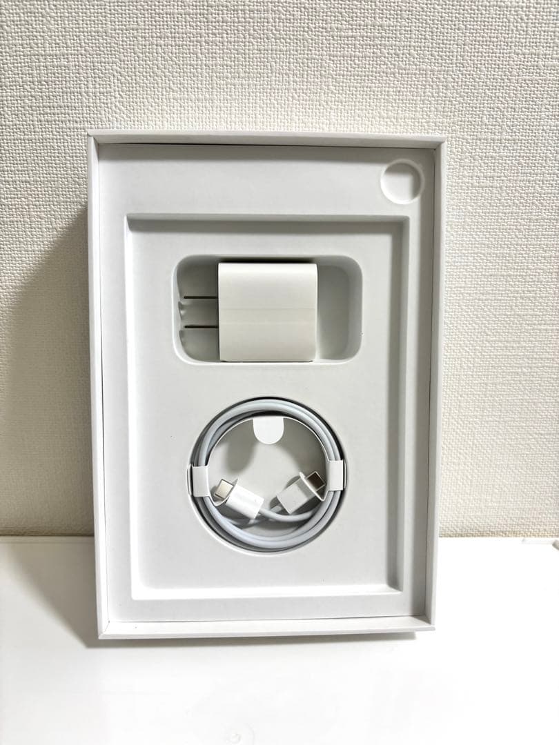 iPad mini (第6世代) 64GB ピンク