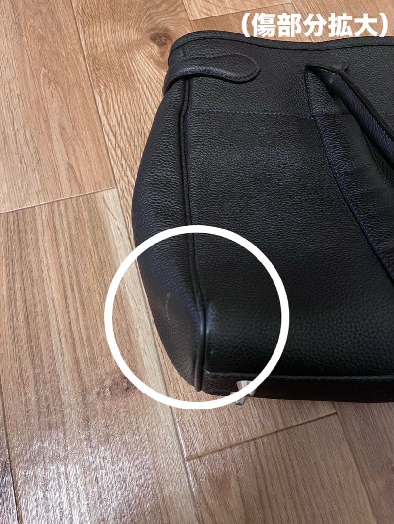 WILDSWANS(ワイルドスワンズ) ・PRECEDE（プリシード）