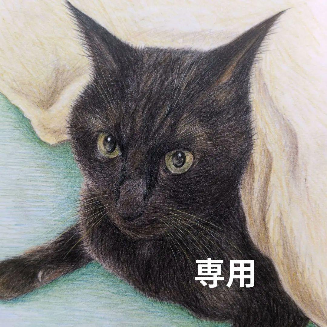 ウニ郎です♪　色鉛筆画 A5 犬・猫♡４枚