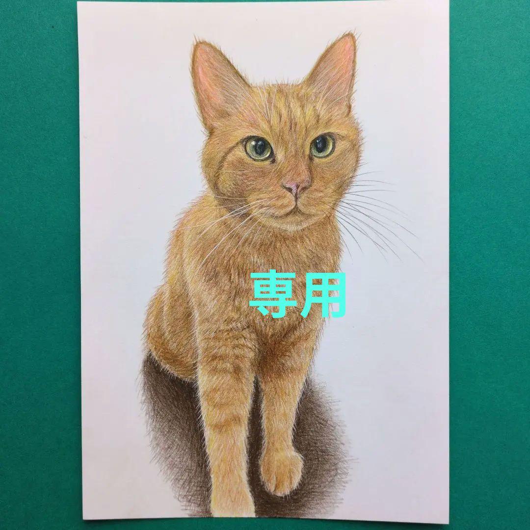 ウニ郎です♪　色鉛筆画 A5 犬・猫♡４枚