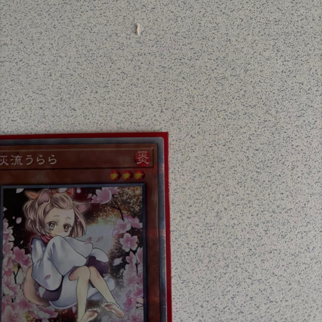 余*様 遊戯王 灰流うらら イラスト違い プリズマ