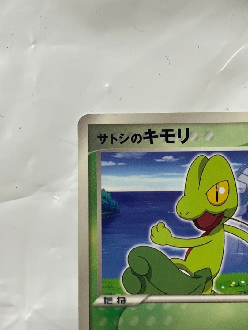 ポケモンカード サトシのキモリ プロモ