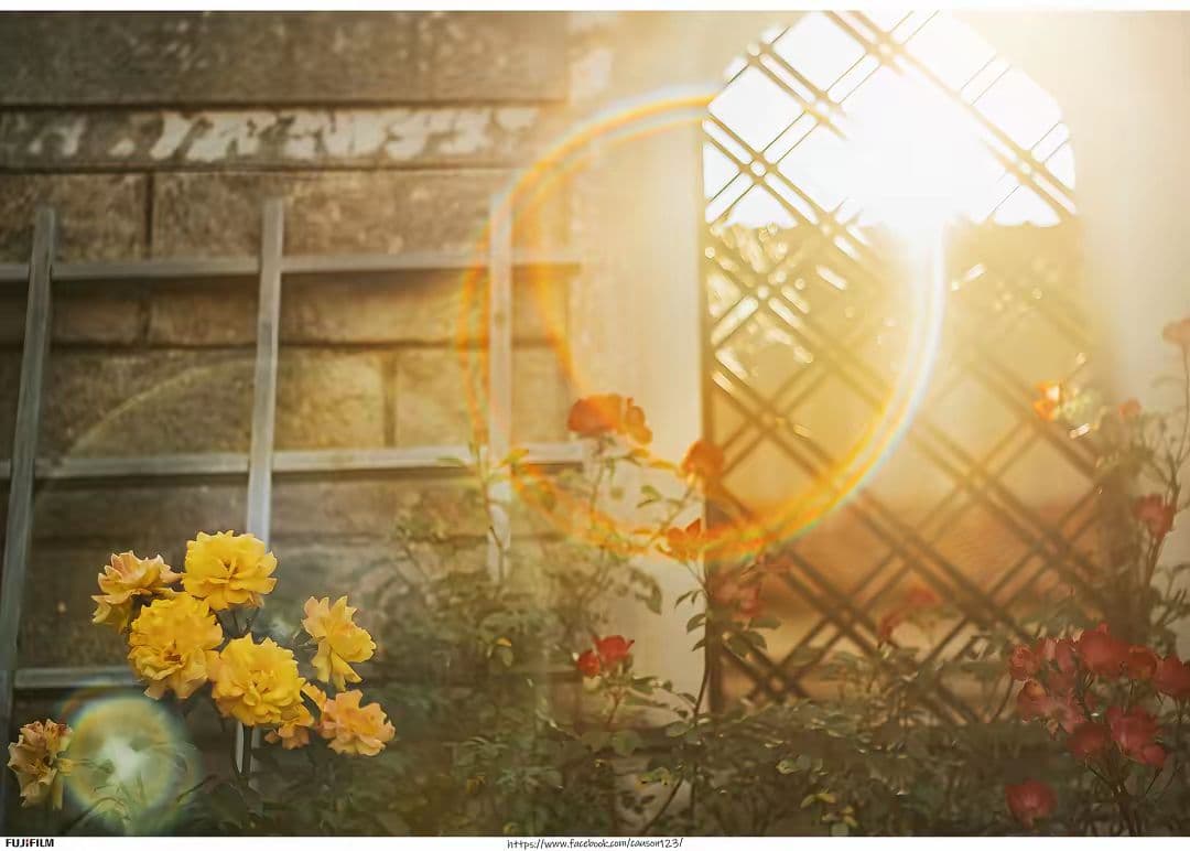 (美品) Supper Takumar 55mm f/1.8( M42マウント)