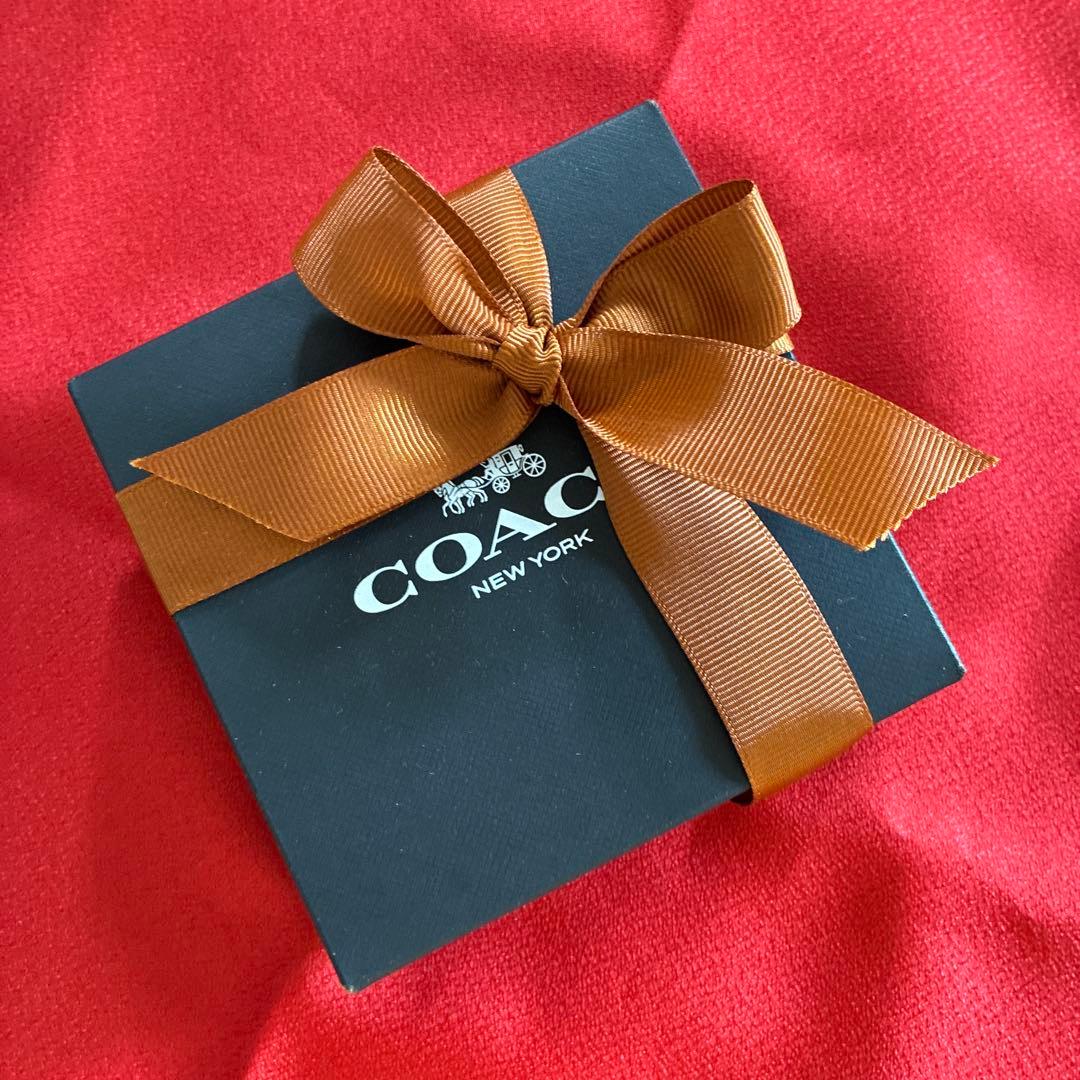 新品　コーチcoach チェリー バッグ チャーム　箱付き　税・送料込