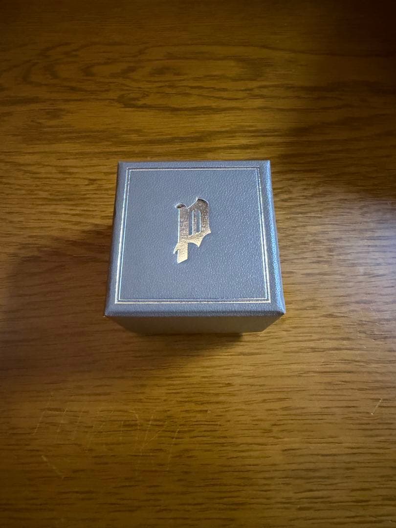 Pointlessjourney EAR RING PJ LOGO 常田着用