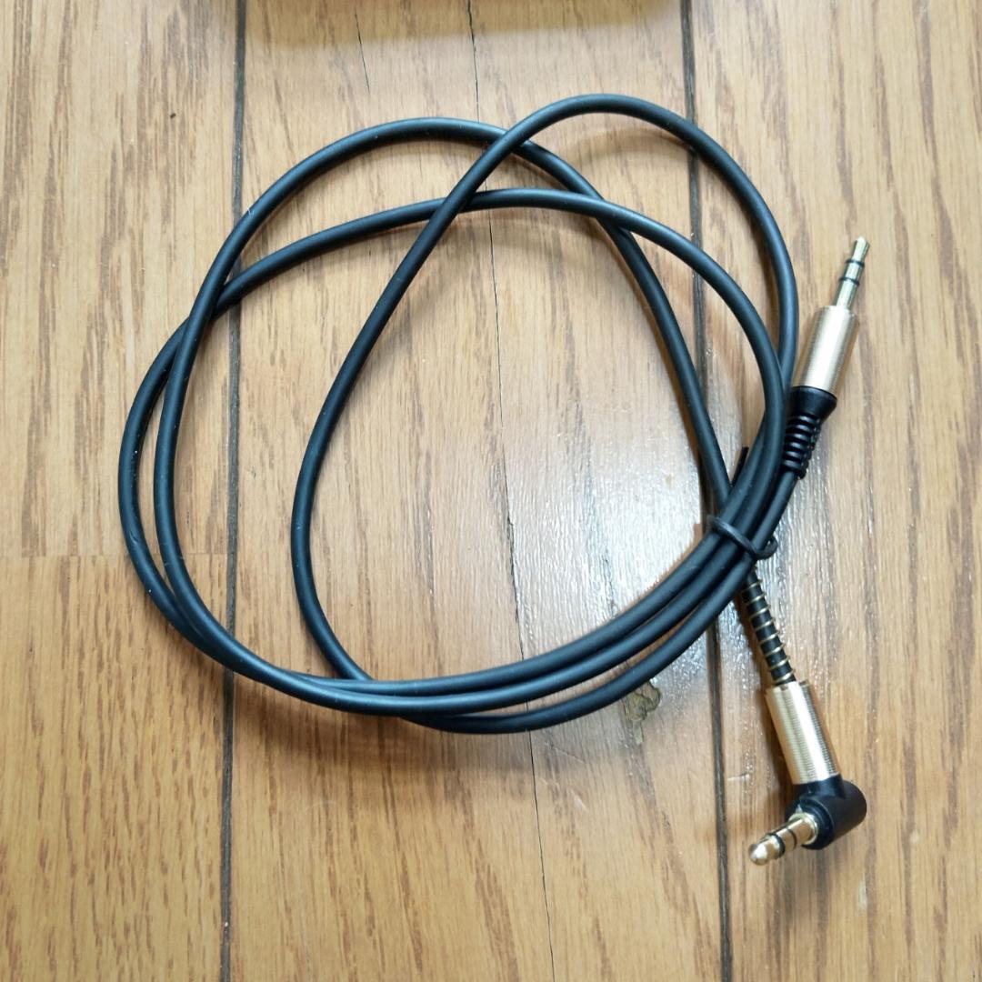 SRAY 指向性スピーカー CF-S100 エスレイ