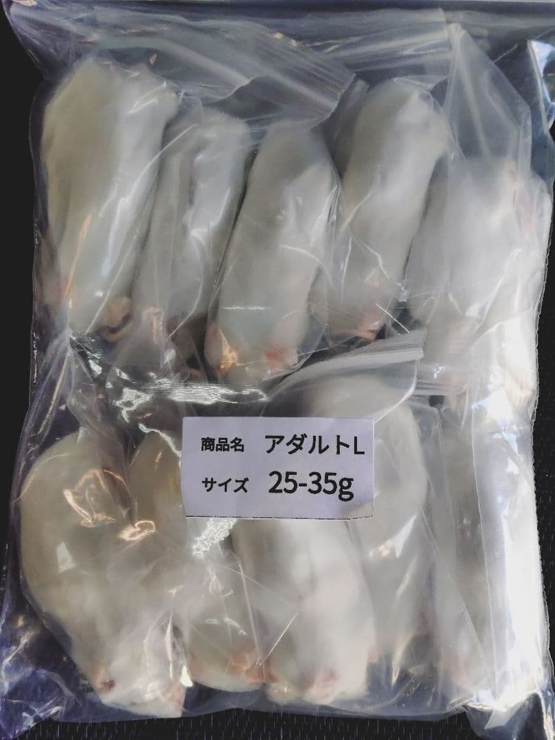 送料無料　冷凍マウスアダルトＬ100匹