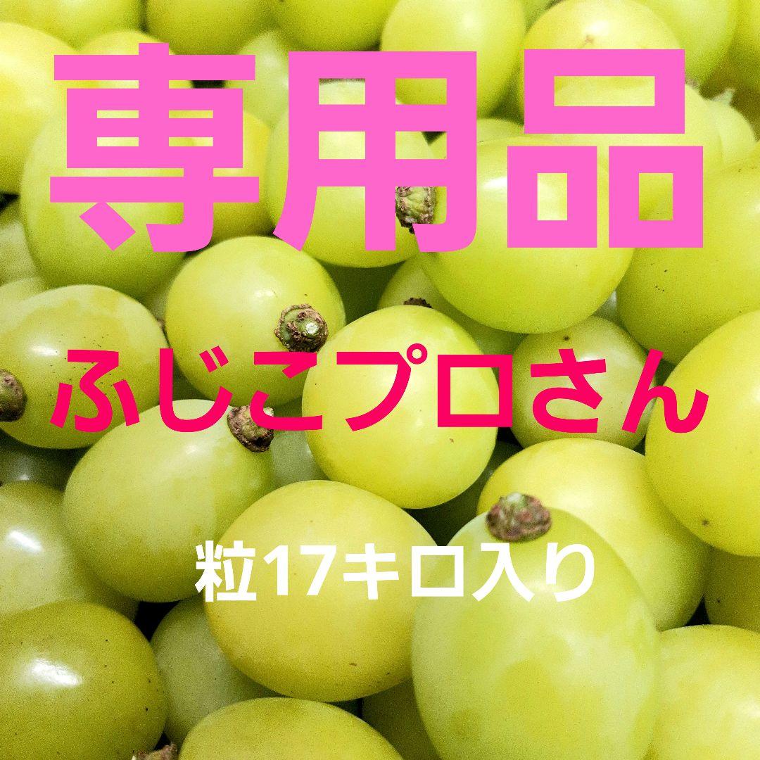 シャインマスカット徳用17キロ入りの粒バック入りになります。