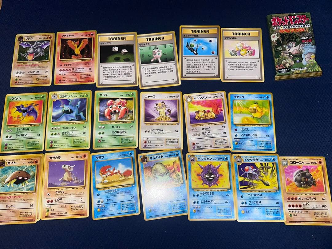 ポケモンジムシリーズ No.5 ヤマブキジム・ナツメ