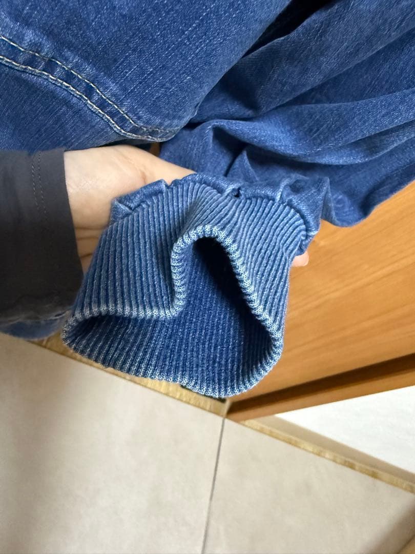 BEARDLEY ビアズリー　袖パフGジャン