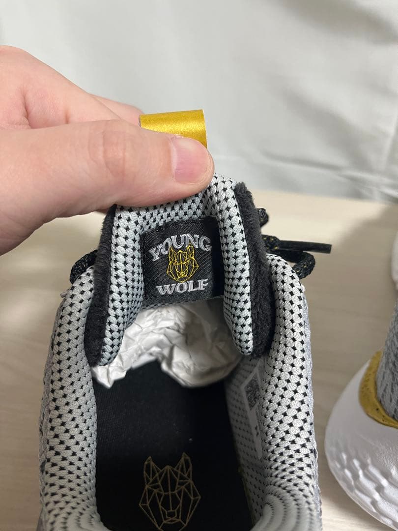 【美品/試着のみ】アンダーアーマー カリー10 Young Wolf 27.5