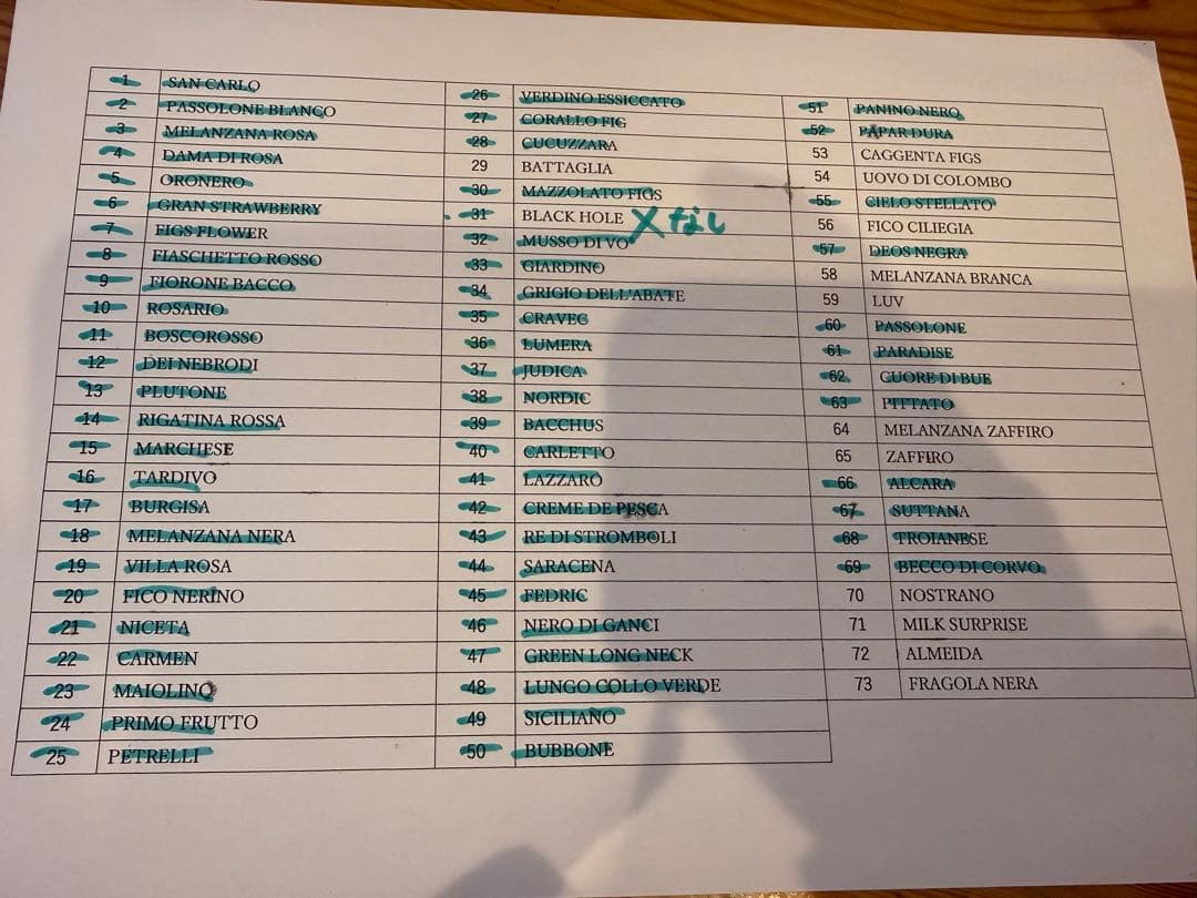 ニッキー品種60種セット！ 本日10時剪定！明日まで！イチジク 穂木