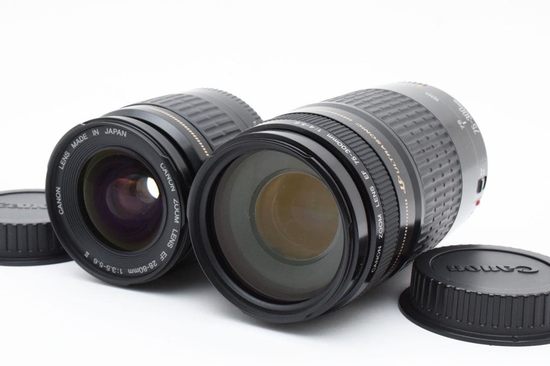 Canon EOS 6D Mark II 標準&望遠ダブルレンズセット