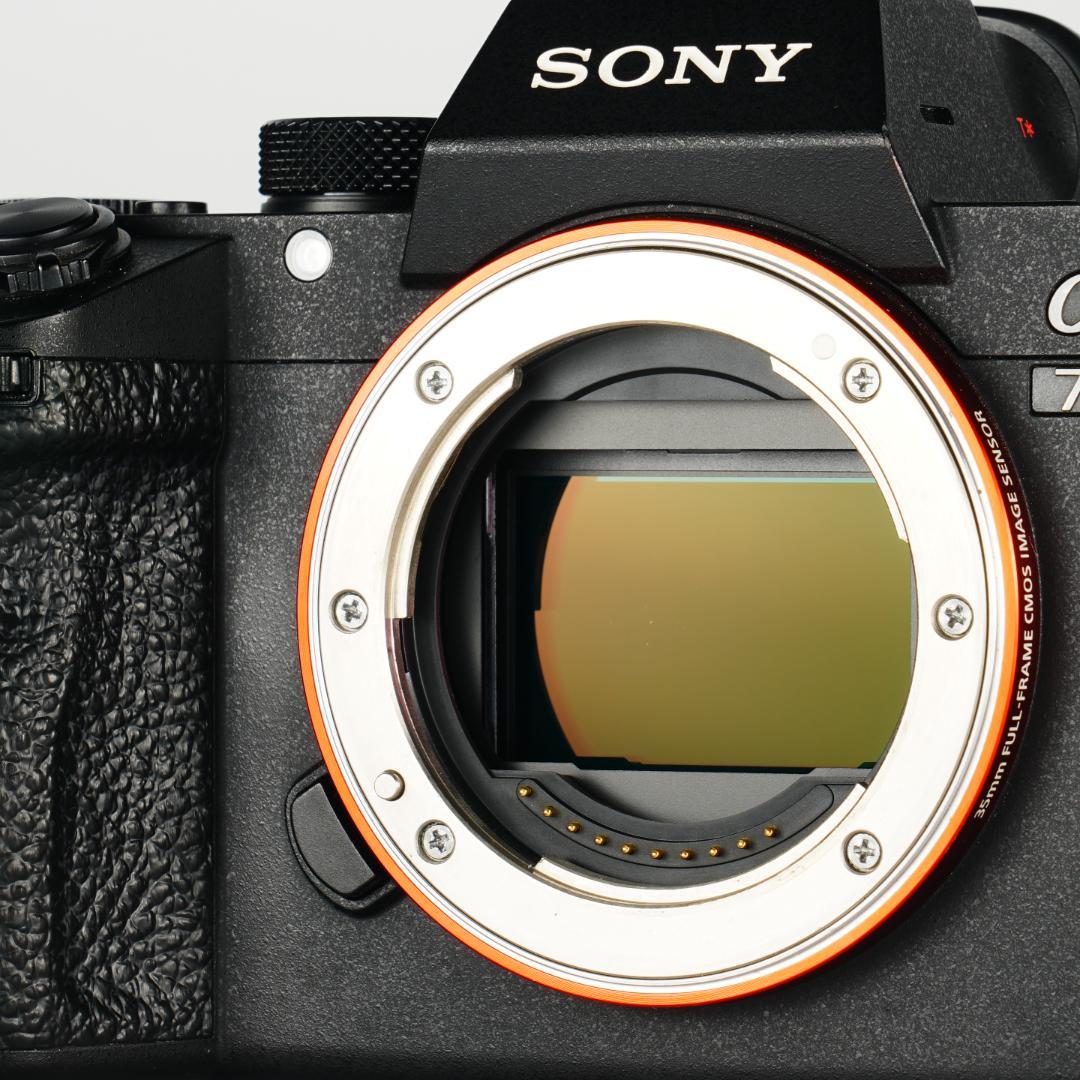 【完全セット】α7III美品！コスパ最高ミラーレス すぐ撮影可能 000