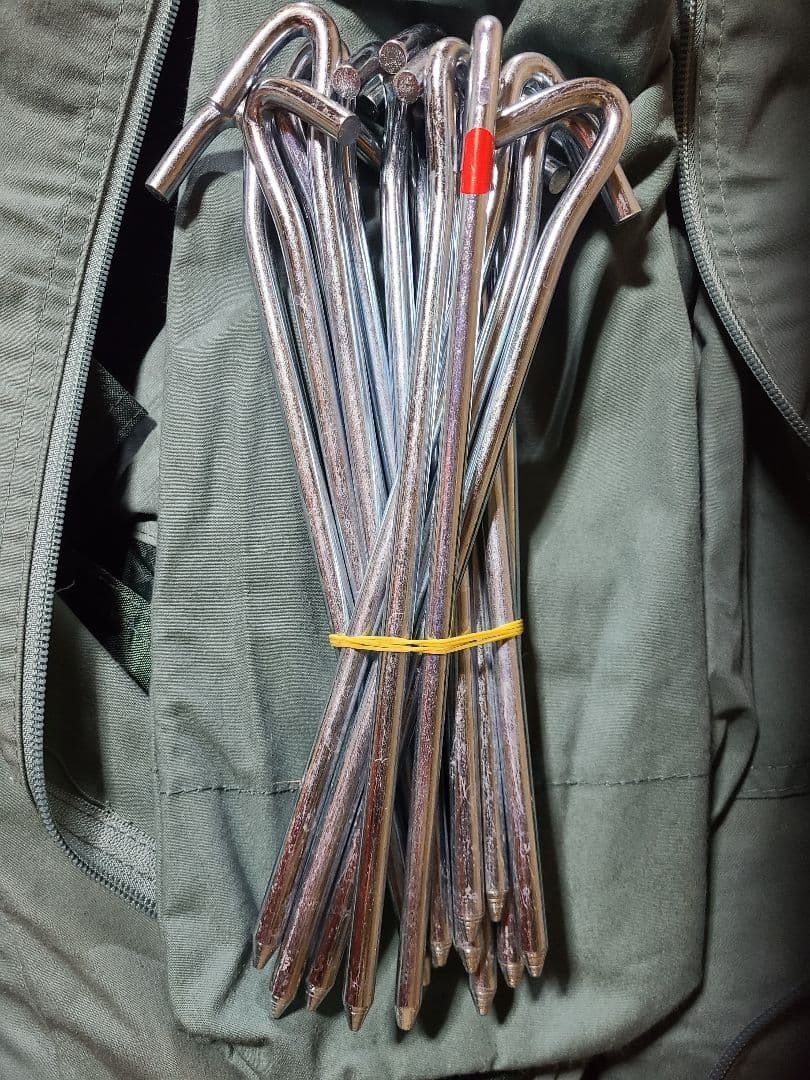 A*A様 tent-Mark デザインサーカスTC DXグリーン　2回使用美品